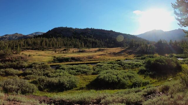 Meadow with flowers in mountains , time lapse video.