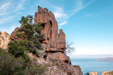 Two goats on rocks in Corsica