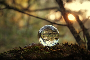 crystal ball on moss close up, abstract natural forest background. clear crystal ball for...