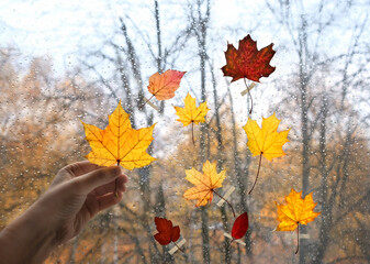 autumn leaves and hand on window glass in raindrops abstract background. symbol of fall season. rain outside window.
