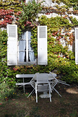 Ivy Covered Wall & Window with Bench-Table & Chairs  © eyepals