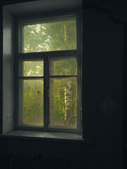 Fototapeta premium the room of an abandoned building, through the dirty glass of the window you can see the white trunk of a birch tree and green foliage, sadness and hope