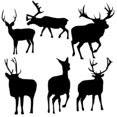 Set of deer silhouettes. Animals vector.