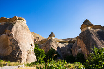 Fairy Chimneys or Peri Bacalari in Pasabagi Open Air Museum in Cappadocia. Tourism in Turkey. Landmarks and natural beauties of Turkey.  © senerdagasan