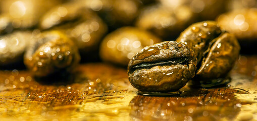 Brown coffee beans close-up banner on golden background with copy space