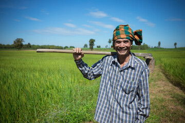 Asian senior man farmer standing in rice green paddy field with happiness. © apimook