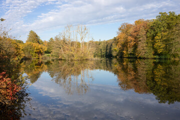 Mirror lake, colorful autumn forest reflected in a lake under beautiful cloudy sky.