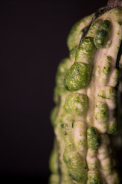 Green Gourd On A Black Background