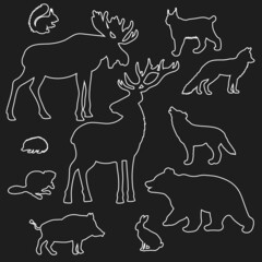 White outline of forest animals on a black background