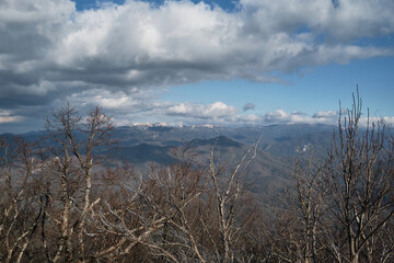 View from top to forest and high mountains of Caucasian reserve. Minimalistic nature screensaver. Mountain forests and peaks of rocks in snow can be seen on horizon in distance.