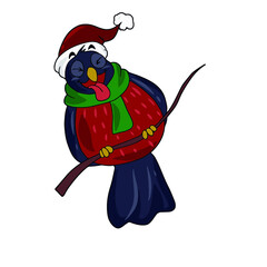 Cute bullfinch in a hat. Vector children's sticker design on white isolated background.