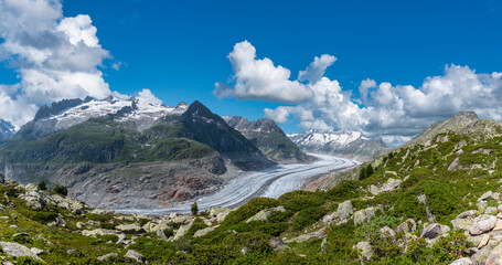 Landscape near Riederalp with Aletsch Glacier