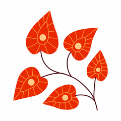 physalis illustration, simple flat design