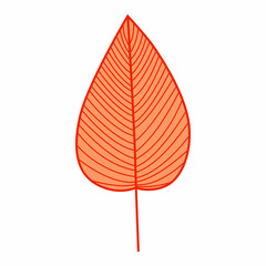 stylized autumn leaf, flat design, isolated on white