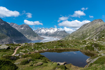 Naklejka na ściany i meble Landscape with Bettmerhorn and Aletsch Glacier