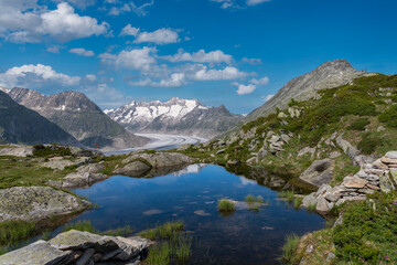 Fototapeta na wymiar Landscape near Riederalp with Bettmerhorn and Aletsch Glacier