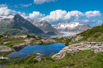 Fototapeta na wymiar Landscape near Riederalp with Aletsch Glacier