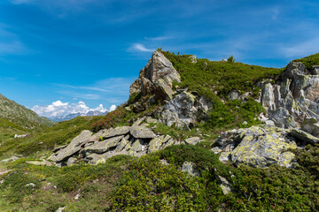 Landscape along the panorama hiking trail near Riederalp