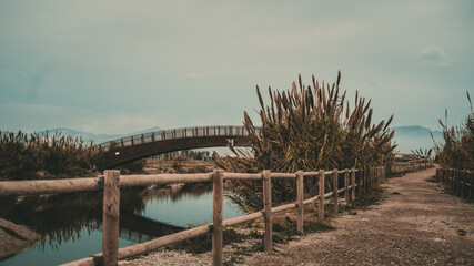 Puente reflejo camino