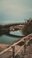 Puente reflejo vertical