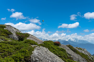 Paragliders on the panoramic hiking trail at the Aletsch Glacier