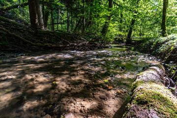 Schmalegger and Rinkenburger Tobel near Ravensburg in Upper Swabia
