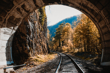 Tunnel looking out on autumn forest