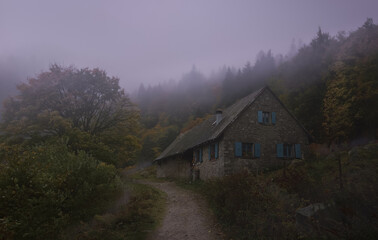 Hütte in den Vogesen im Nebel