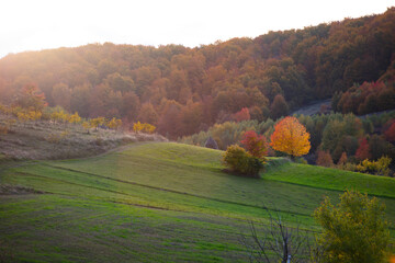 Fototapeta premium Beautiful autumn landscape in Transylvania