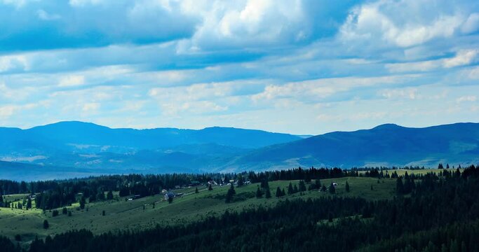 Carpathian mountaines Marisel, Flock of sheep
