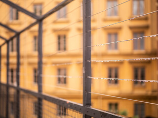 Fence and building on a rainy day