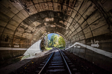 Tunnel looking out on autumn forest