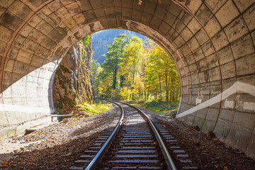 Fototapeta na wymiar Tunnel looking out on autumn forest