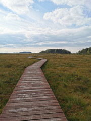 Obraz premium Wooden plank flooring over a swamp with yellowed grass against a beautiful sky with clouds.