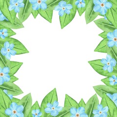 A frame made of forget-me-nots. Watercolor botanical illustration included in the collection of wildflowers. Isolated image on a white background. For your design.