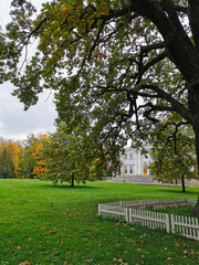 View of the Elaginoostrovsky Palace from under the branches of a three-hundred-year-old English oak tree in the park of St. Petersburg