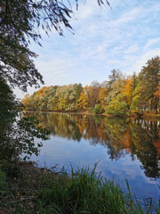 Autumn in the park. Trees with yellowing leaves grow around the pond and are reflected in its water.