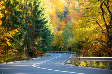 A colourful curving autumn road
