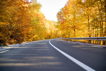 Fototapeta premium A colourful curving autumn road