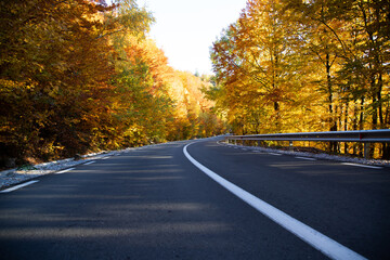 Fototapeta premium A colourful curving autumn road