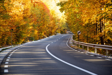 Fototapeta premium A colourful curving autumn road