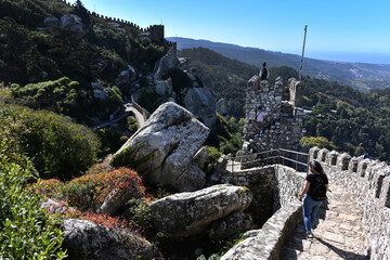 Stone fence in Sintra-Cascais Natural Park Colares Portugal