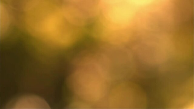 bokeh hd videos. graphic content suitable for imagination design concept. bokeh stock clips