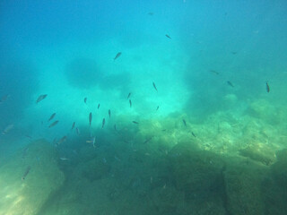 Underwater world of Mediterranean Sea. Near Marmaris, Turkey
