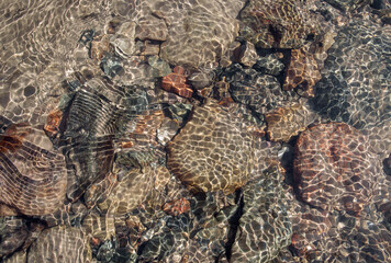Stones pebble in water. Nature abstract background. Beach rocks