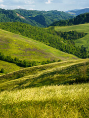 Obraz premium Rural landscape on the hills near Bologna, Emilia-Romagna.