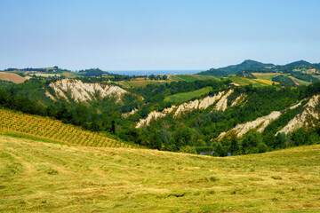 Fototapeta na wymiar Rural landscape near Guiglia, Emilia-Romagna.