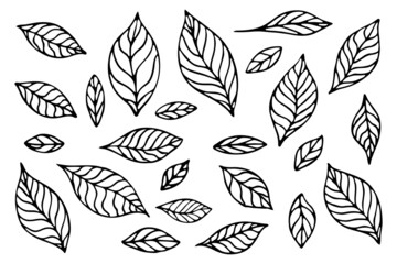 Leaves outline silhouettes. Cut file set on white background