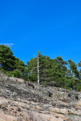 Fototapeta na wymiar Rocky island with pine trees and blue sky