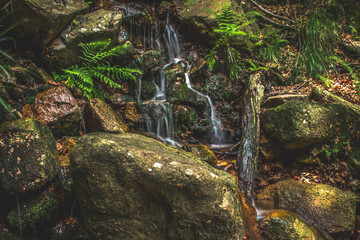 Ilsental Wasserfälle 3